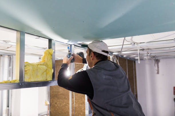Best Crawl Space Insulation  in Bothell East, WA